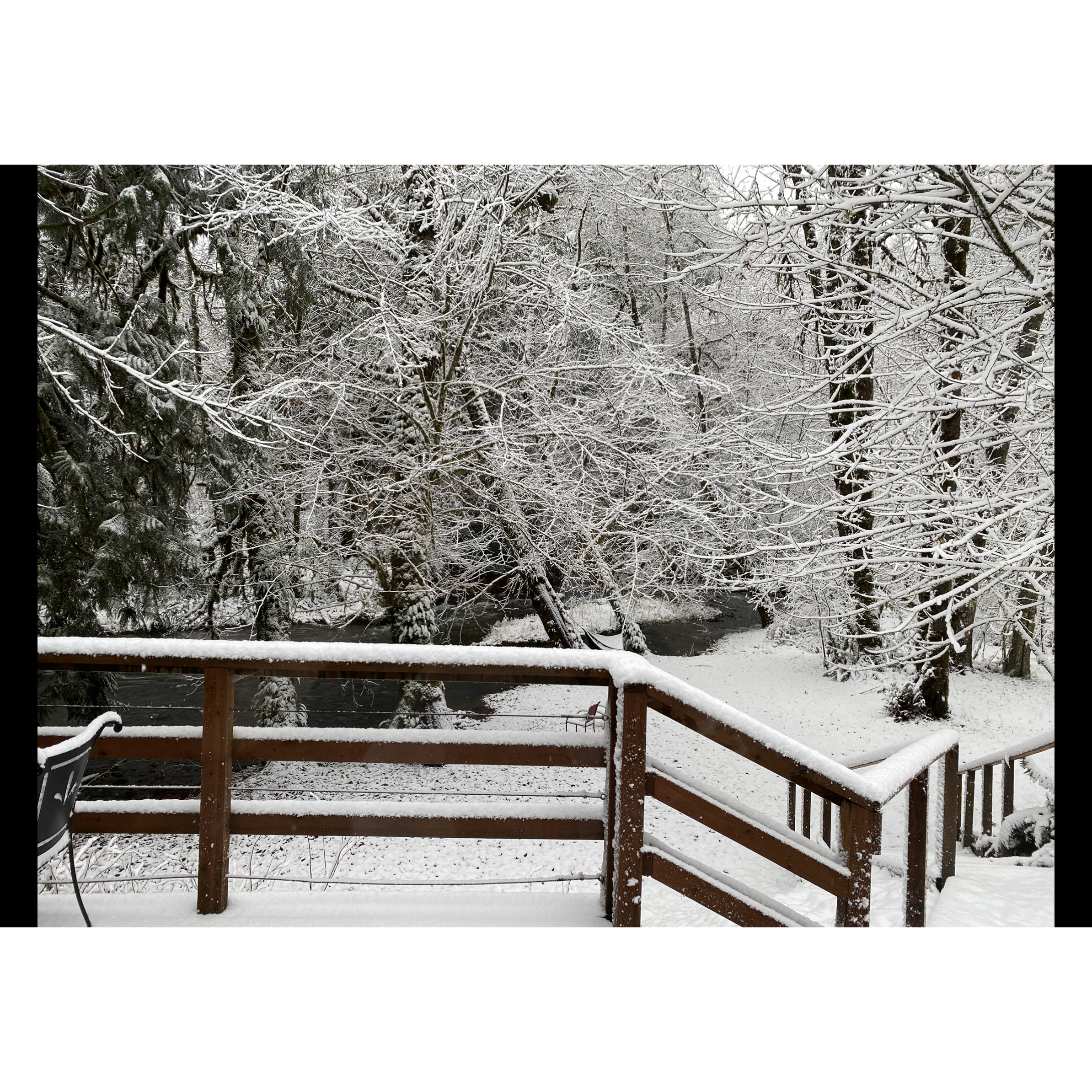 Winter at Shady Grove