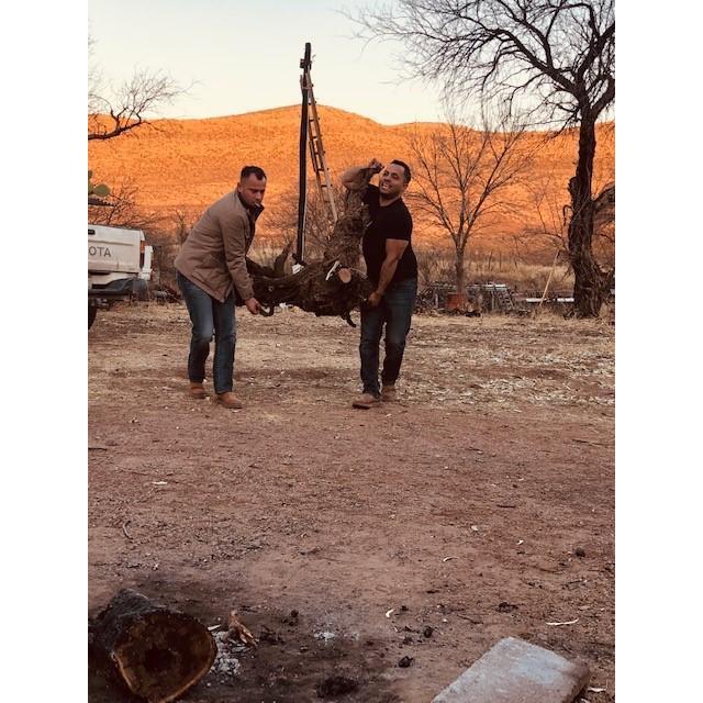 Brothers at the Family Rancho