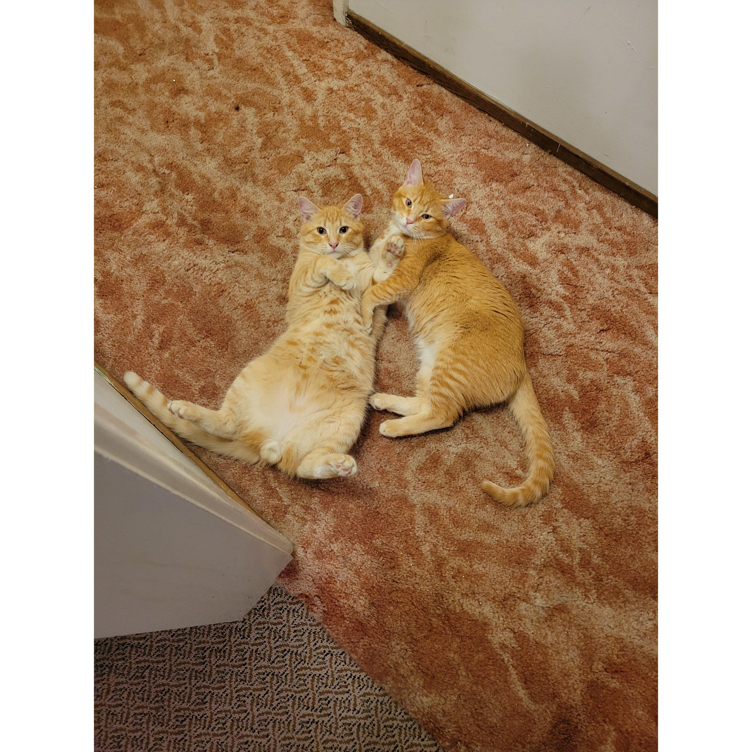 Our handsome twins!