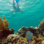 Dreams Macao Beach Excursion Options