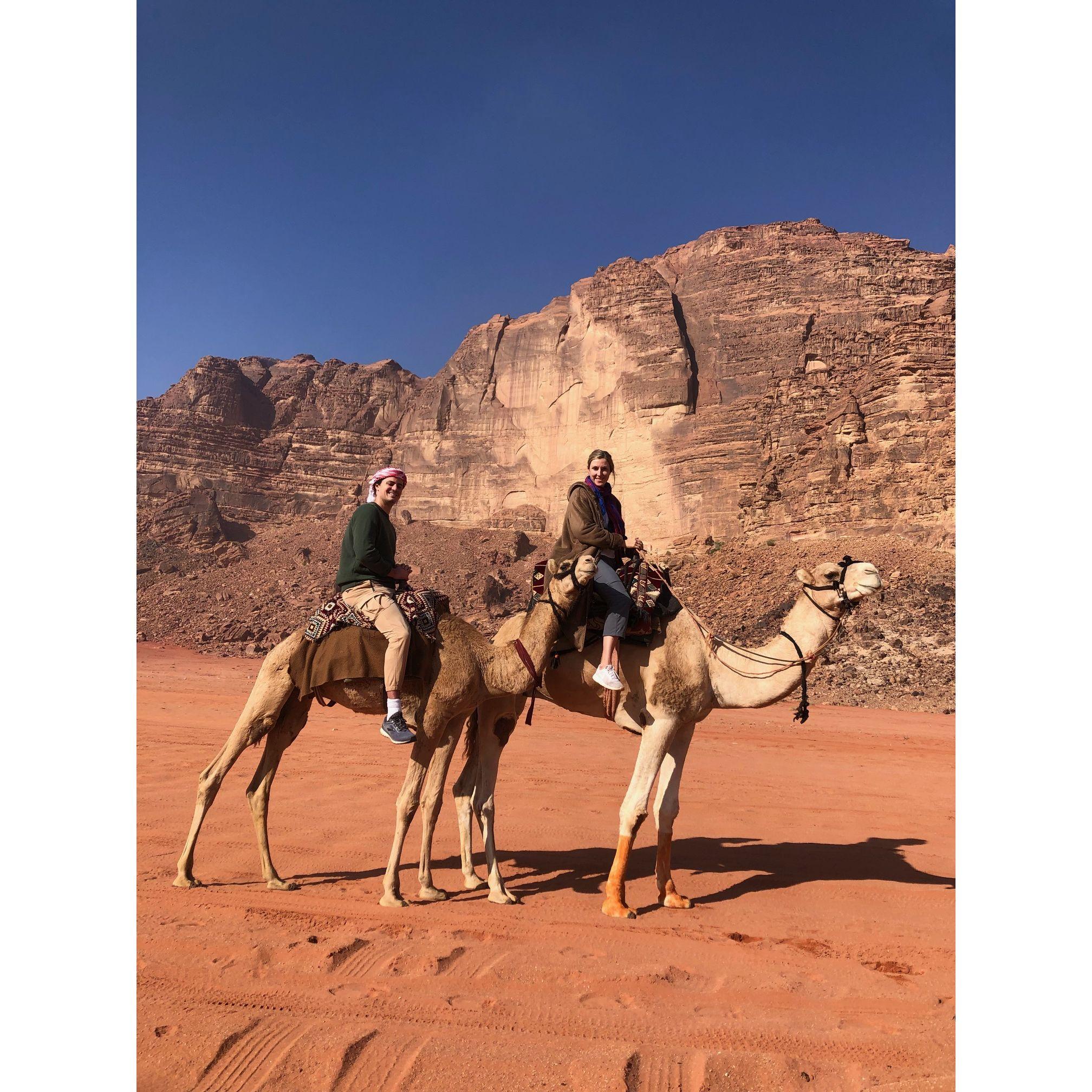 Arabian Desert