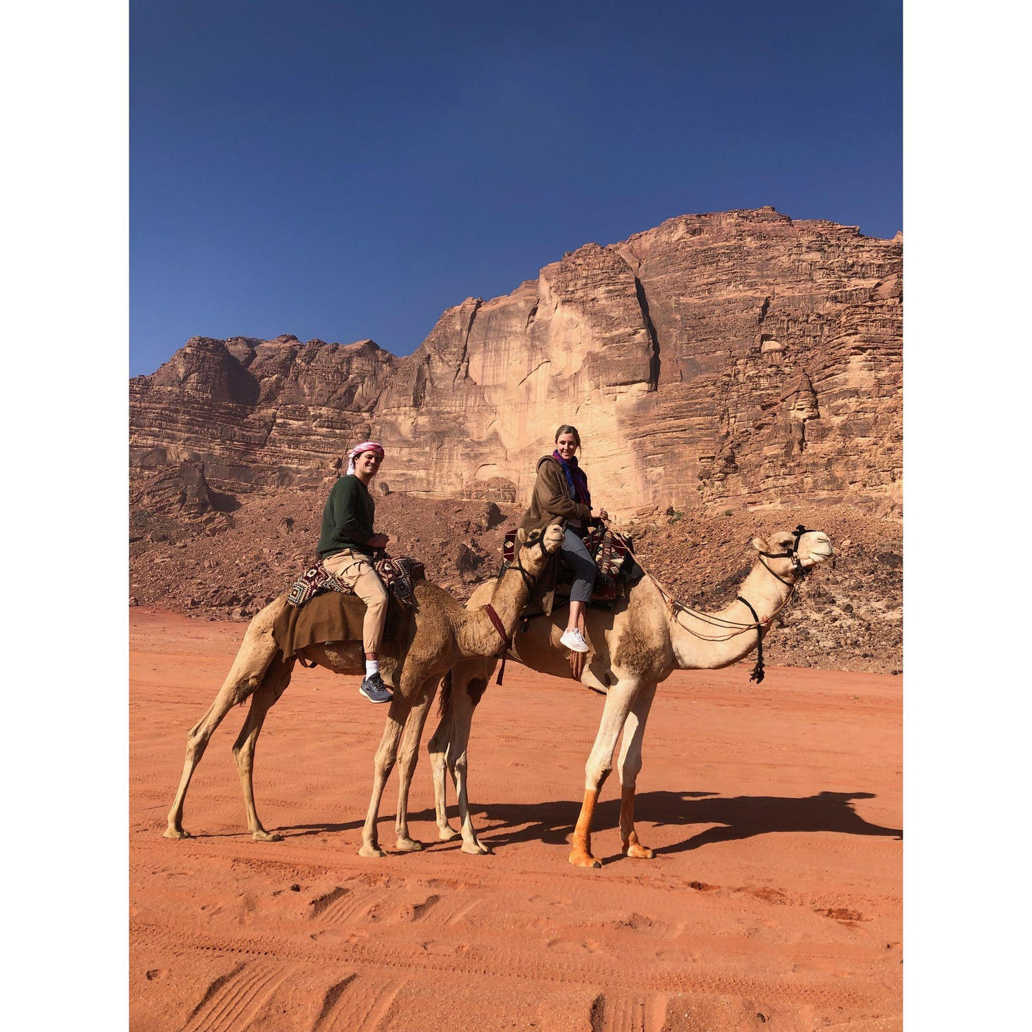 Arabian Desert