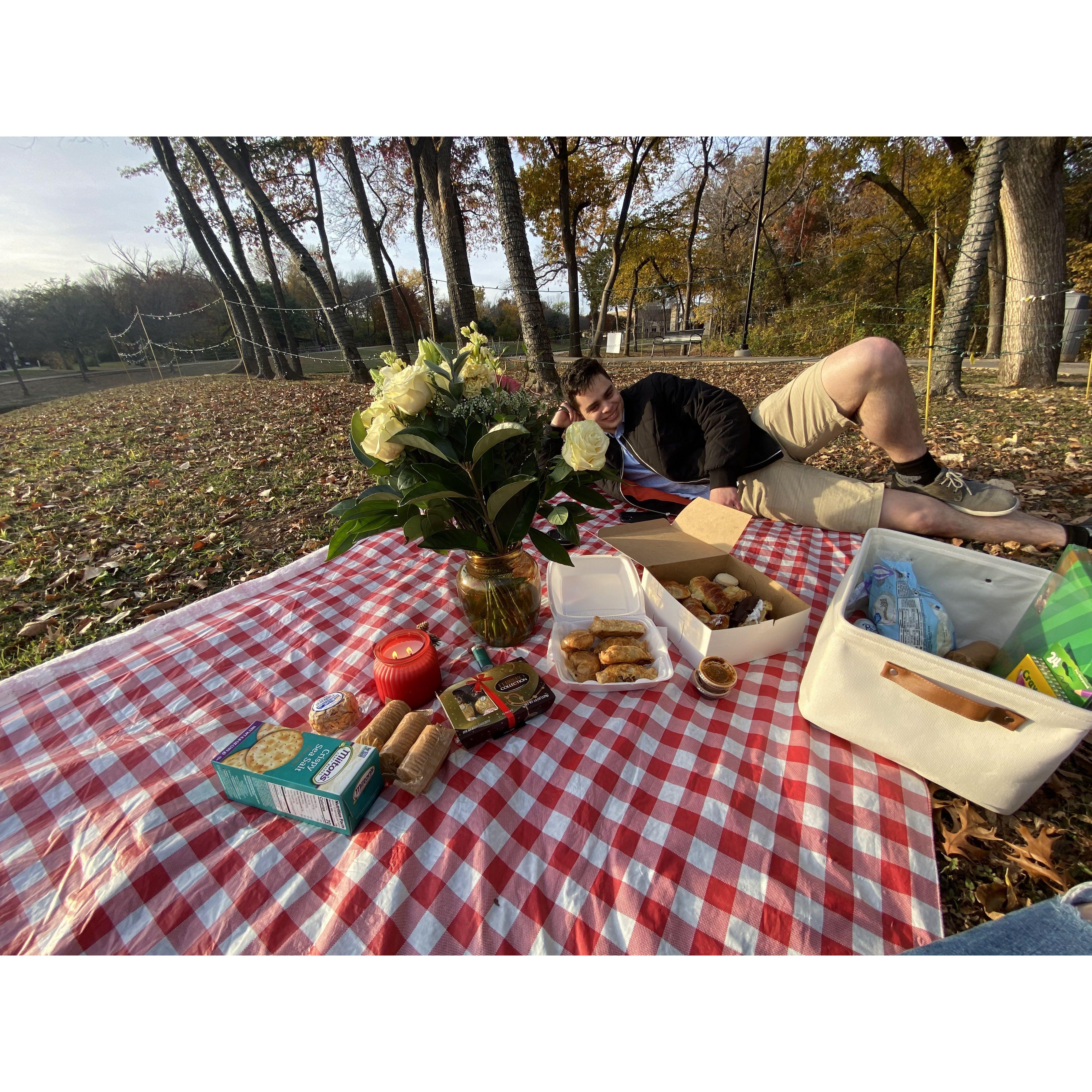 Proposal Picnic!!