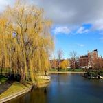 Boston Common