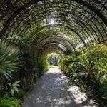 McKee Botanical Garden