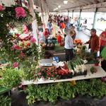 Kalamazoo Farmers Market