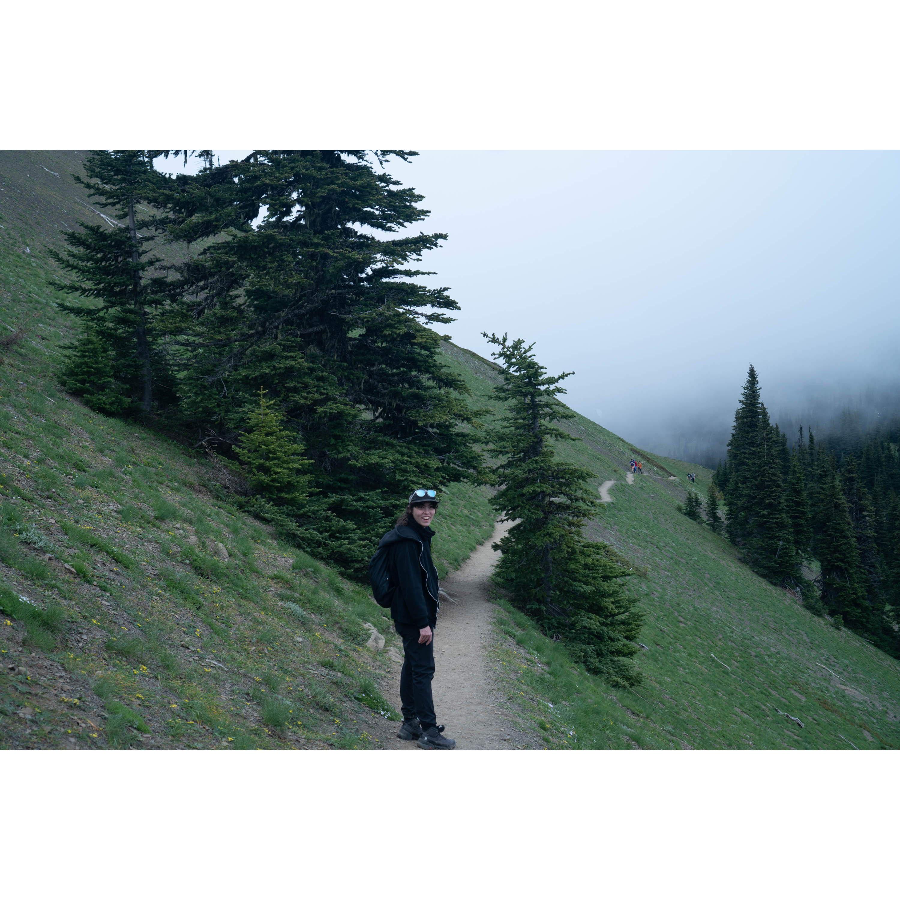 Rex traversing Hurricane Ridge