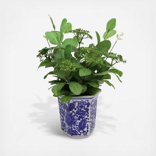 Artificial Eucalyptus Plant