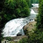 Dupont State Forest