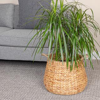 Handwoven Seagrass Basket with Handles