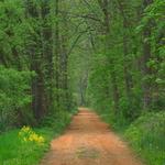 Delaware and Raritan Canal State Park