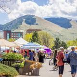 Clark Fork Market