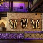 JW Marriott Savannah Plant Riverside District