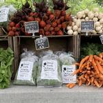 Littleton Farmer's Market
