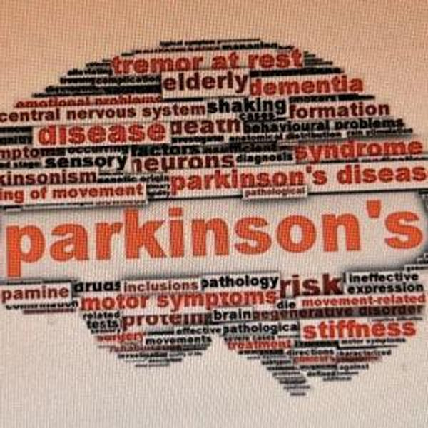 https://parkinsonsassociation.org/donate/