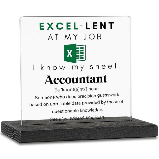Accountant Gifts for Women, Thank You Gifts for Accountant, Funny Excel Gift for Accountant Appreciation Gifts, Accounting White Elephant Gifts Decor for Accounting Office Desk Shelf Cubicle ZBB78