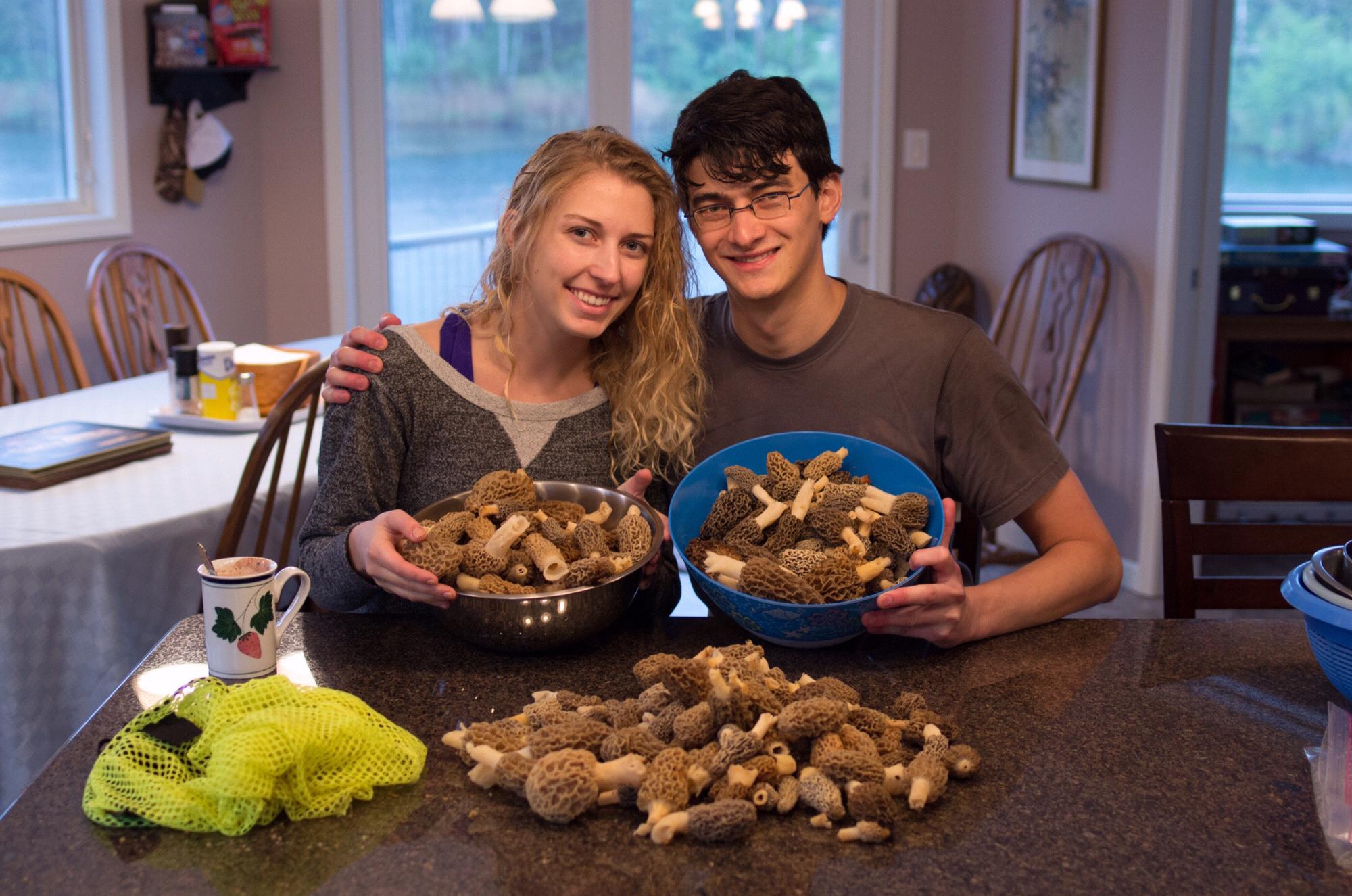 A day’s haul during morel mushroom season!