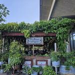 Independence Beer Garden