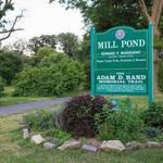Mill Pond Preserve Wantagh