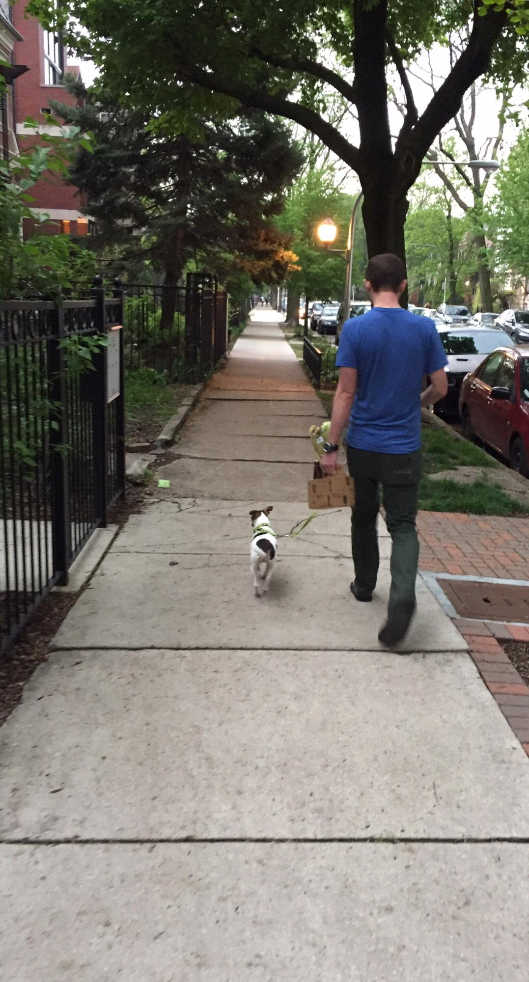 Chicago 2017 - walking home from grocery shopping (we are very lucky - it’s in our backyard)