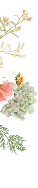 florals