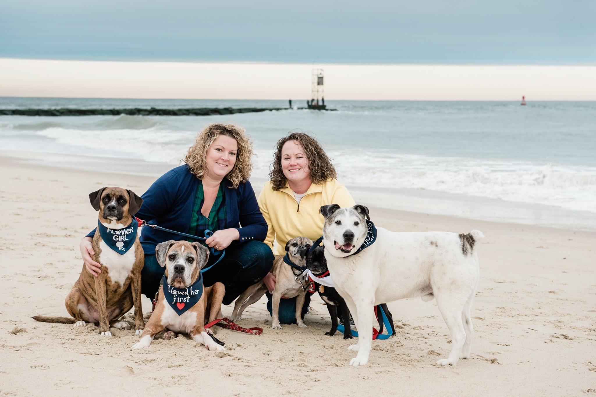 The Wedding Website of Katie McDonald and Sytiva Seitz