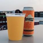 Sycamore Brewing