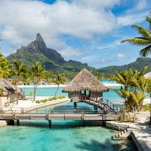 Our Dream Honeymoon