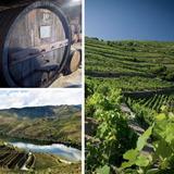 Douro River Valley Tour