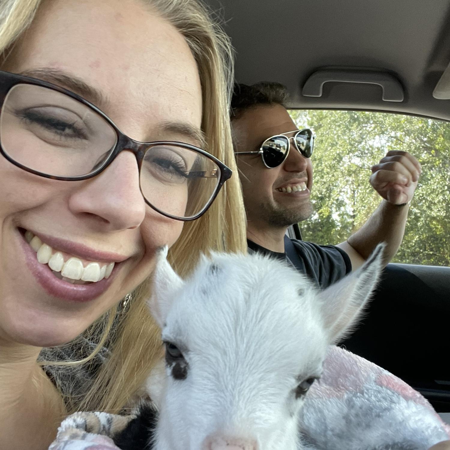 Bottle fed baby goats! Taking her to David’s Florida house for an afternoon adventure.
