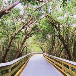 Clam Pass Beach Park
