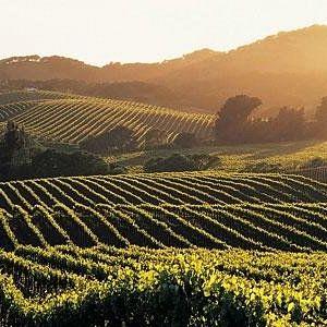 Sonoma Wine Tasting