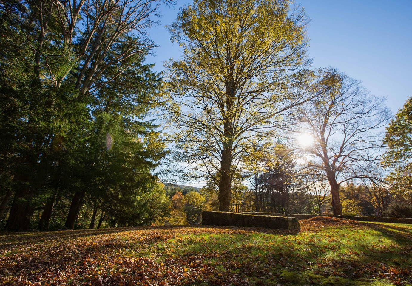 The Wedding Website of Aleisha Fetters and Amin Virani