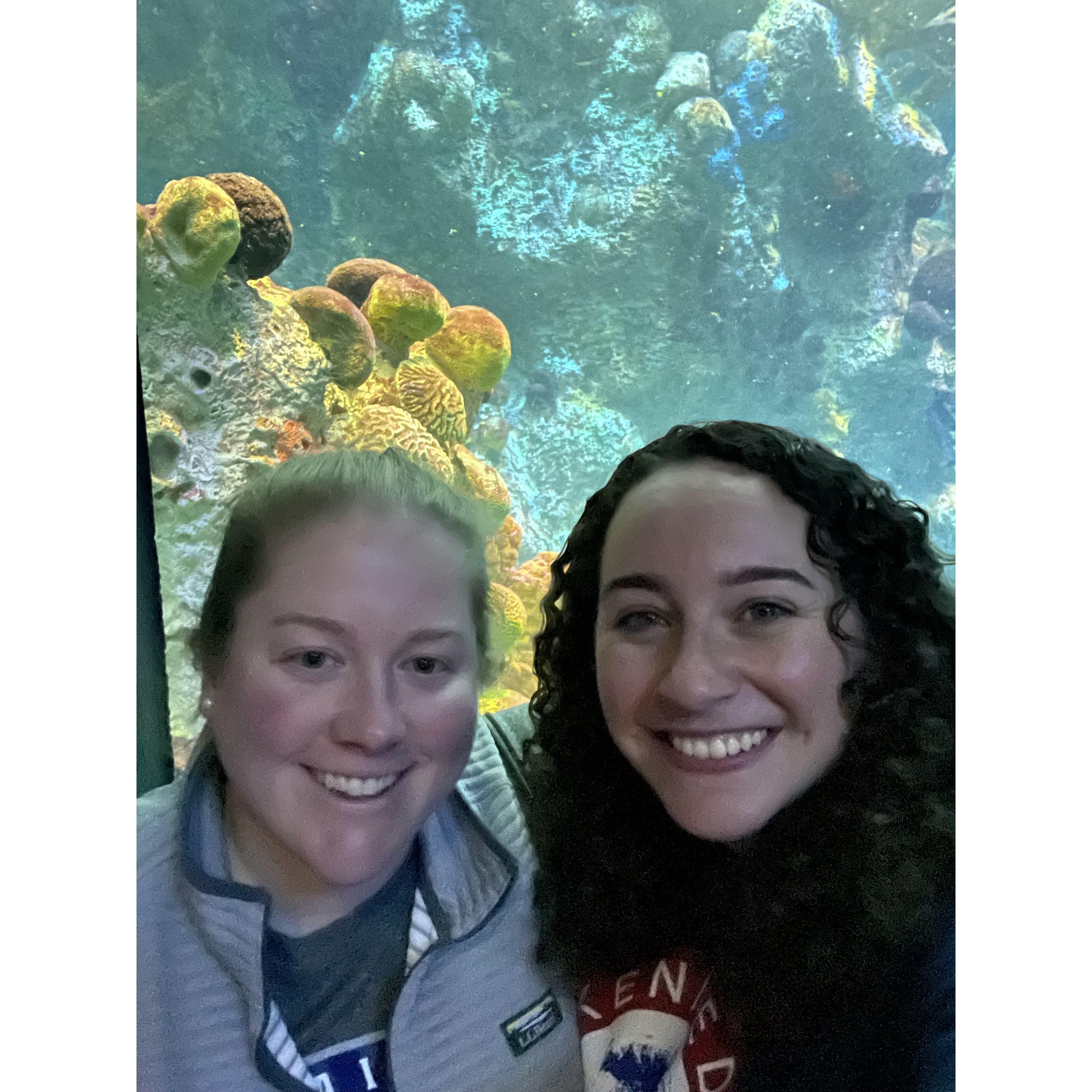 November 2022 - New England Aquarium