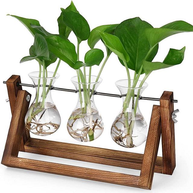 YIBOT Plant Propagation Stations Terrarium with Wooden Stand-Desktop Air Planter Bulb Glass Vase-for Hydroponics Plants Home Office Decor- Plant Lover Gifts for Women(3 Hyacinth Vase)