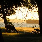 Gateway National Recreation Area