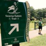 Swamp Rabbit trail