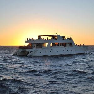 Sunset Dinner Cruise & Show