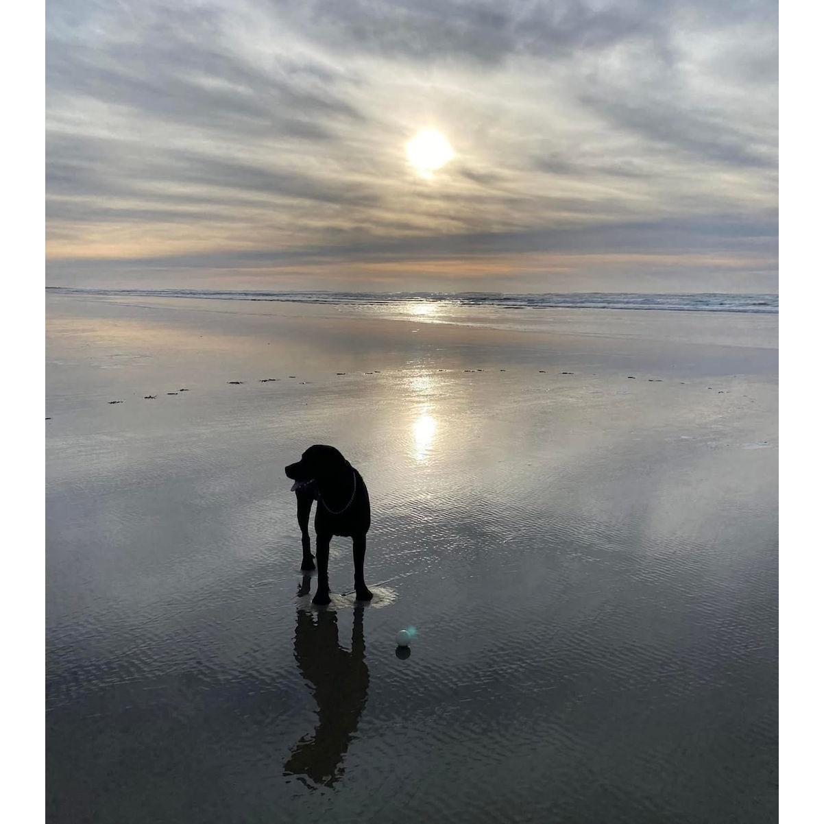 One of our coastal happy places!