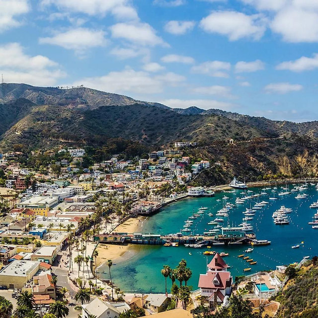 SoCal Honeymoon Fund!