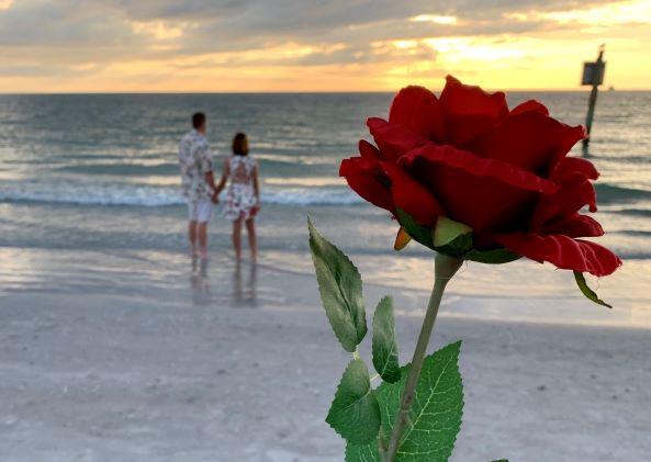 The Wedding Website of Ebony Brothers and Christepher Duncan