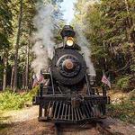 The Skunk Train