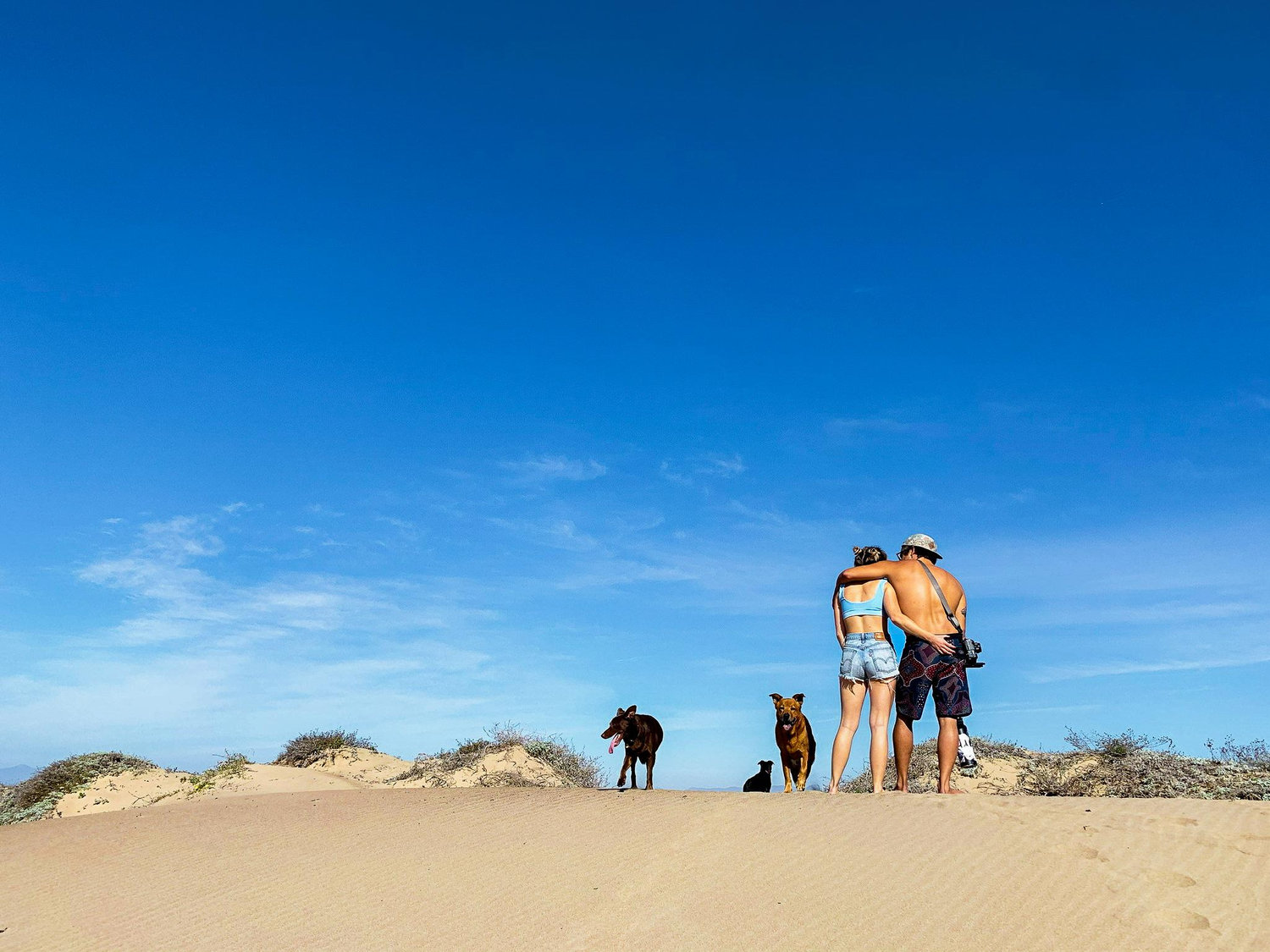 The Wedding Website of Jonny Taitano and Caitlin Streeter