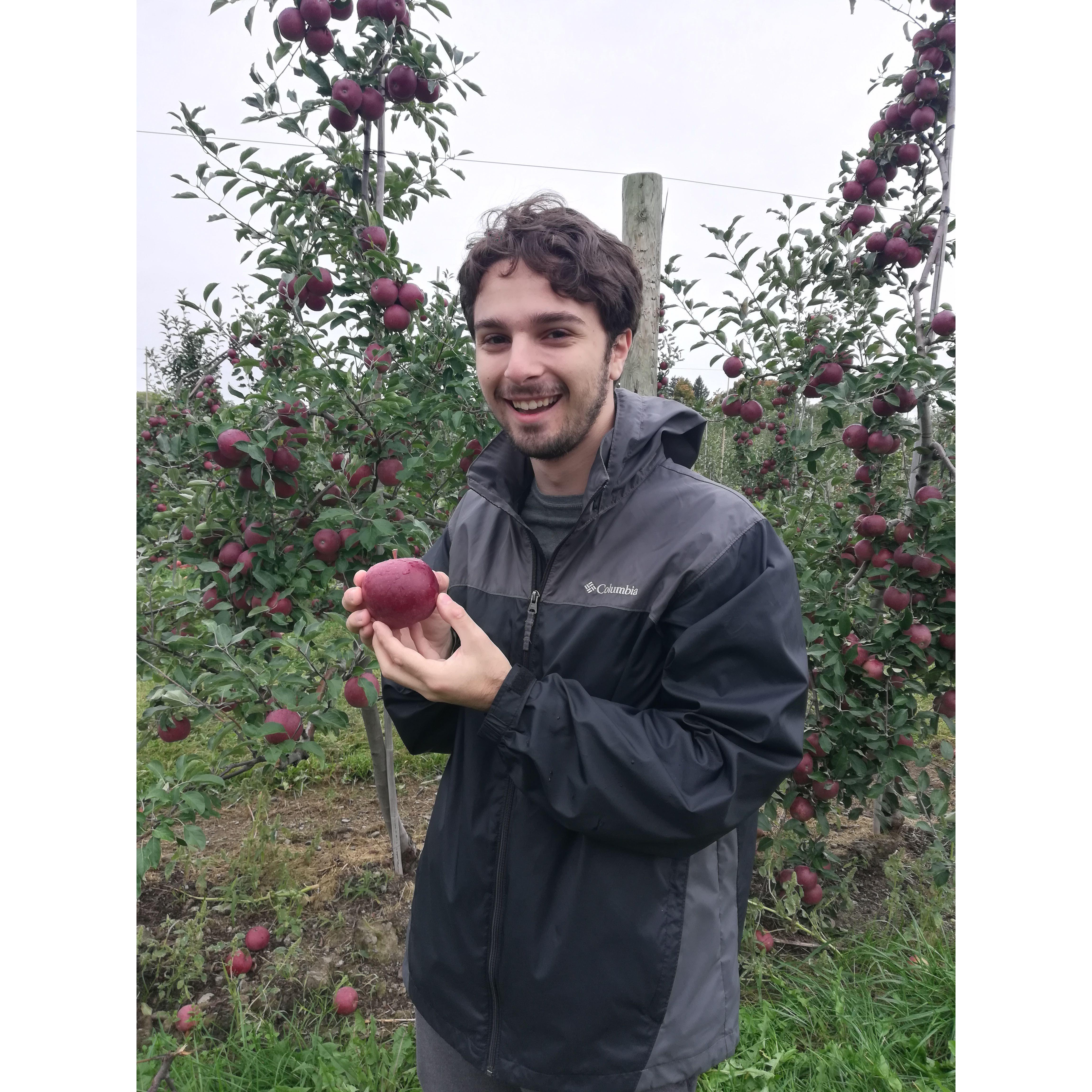 Apple picking at Indian Creek Farm. October 2019, Ithaca, NY