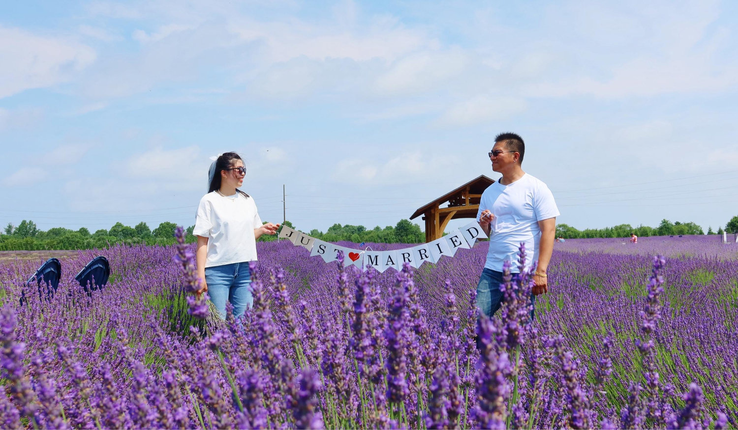 The Wedding Website of Phoebe Yong and Pedro Sun