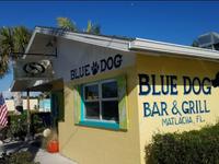 Blue Dog