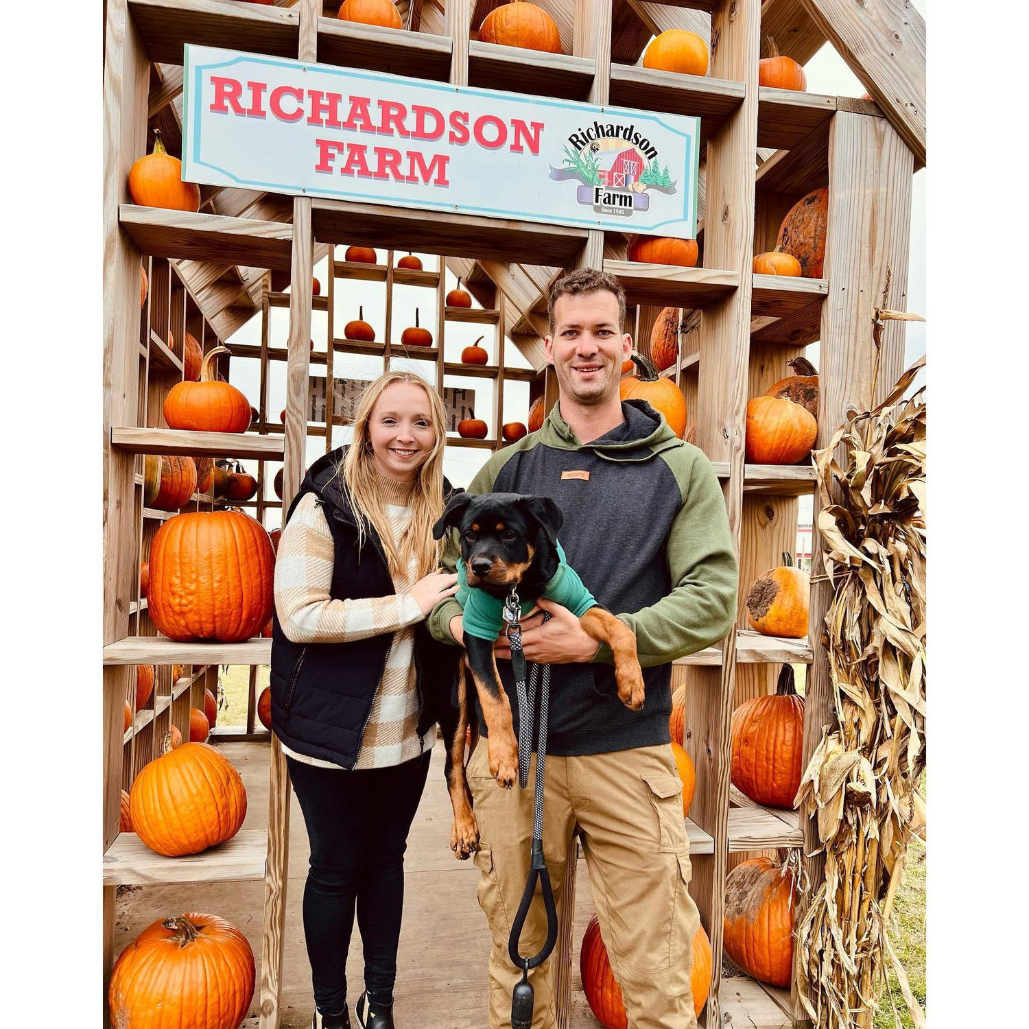 Family day at Richardson Farm!