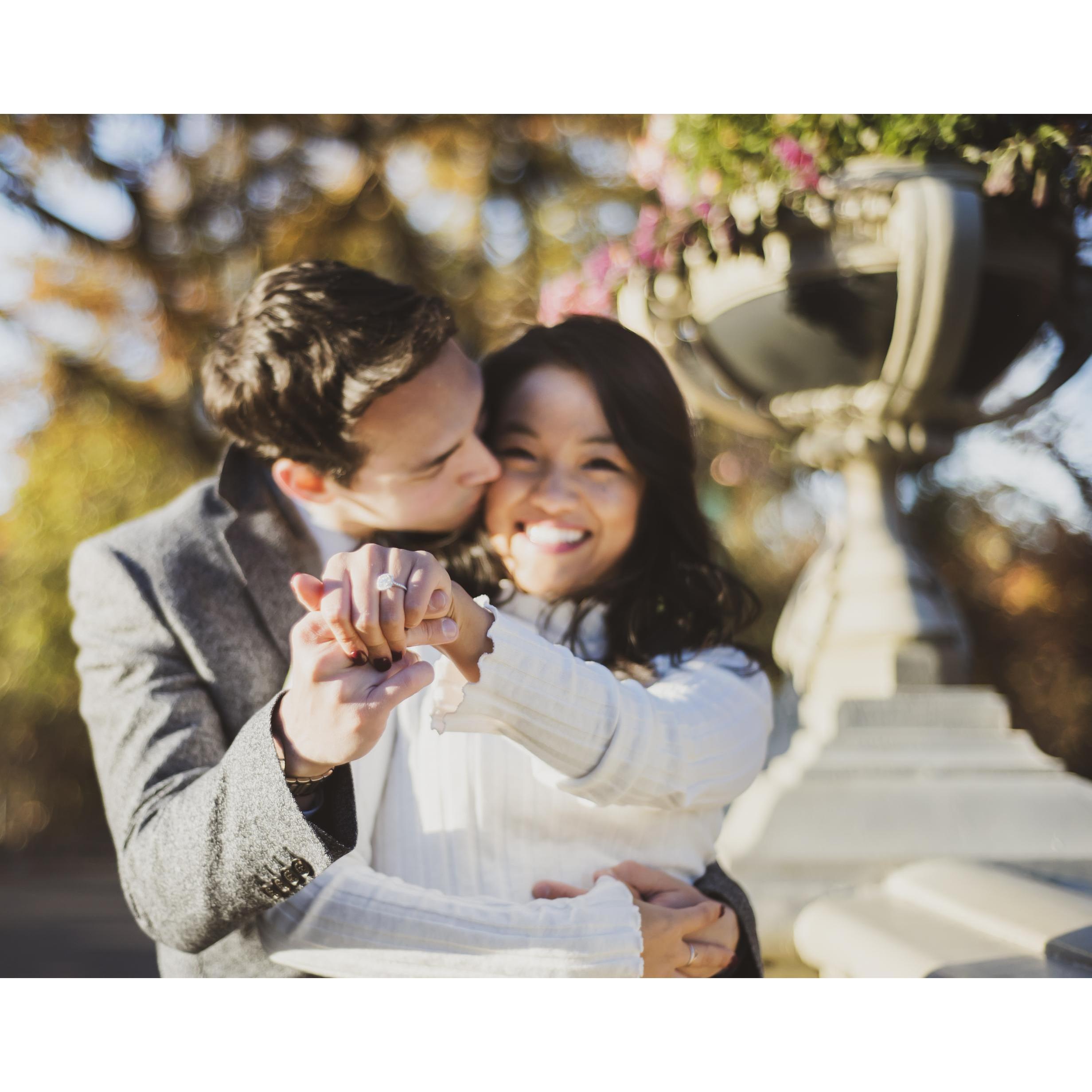 Bow Bridge in Central Park
