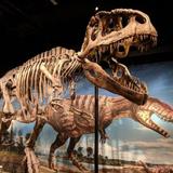 Denver Museum of Nature & Science