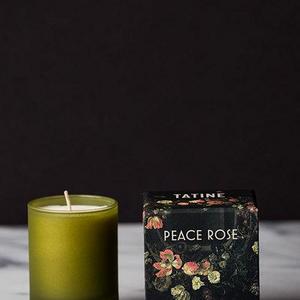 Peace Rose